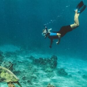 Molokini and Turtle Arches Snorkeling Trip